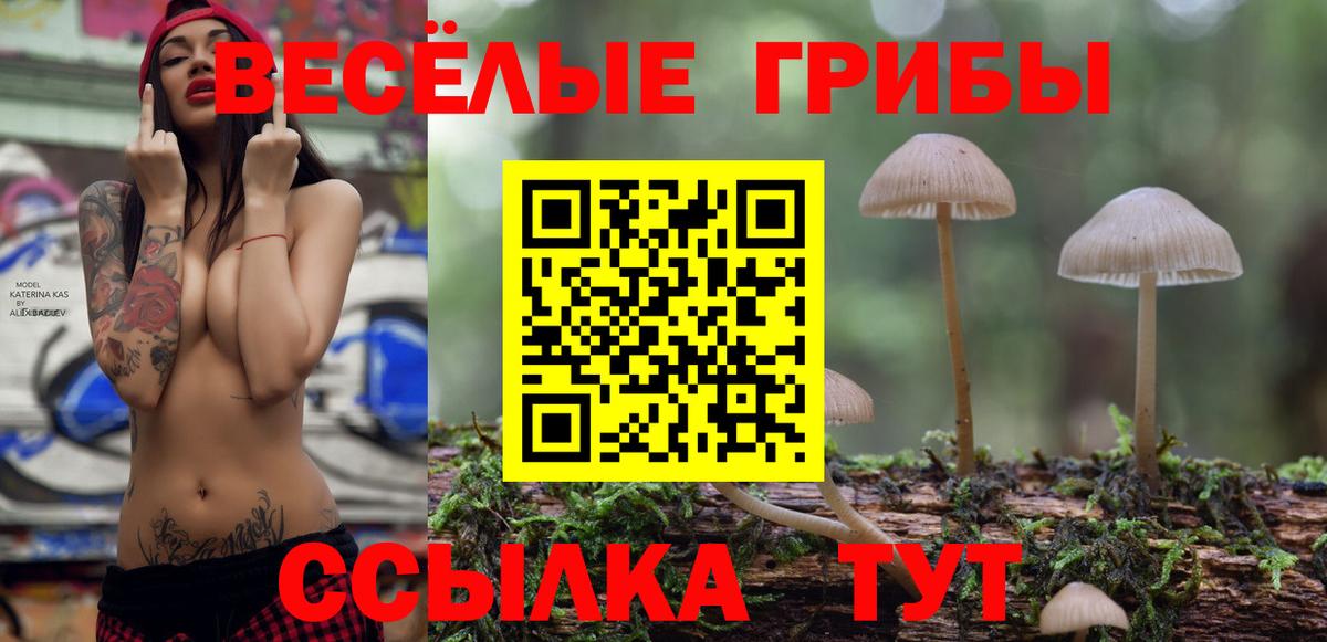 Псилоцибиновые грибы Magic Shrooms  Вход с VPN  наркошоп  Жуковский 