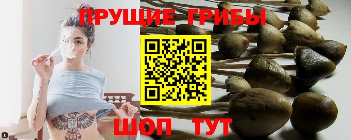 Галлюциногенные грибы Magic Shrooms Жуковский